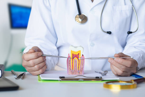 Best Urgent Tooth Repair  in Raceland, KY